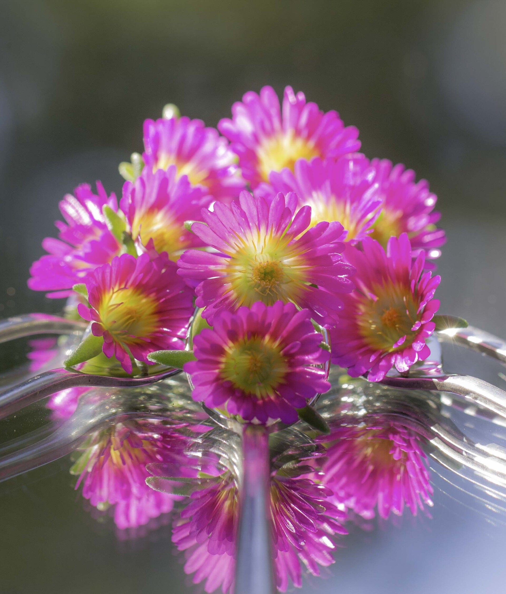 pink and yellow flowers on spoons on mirror