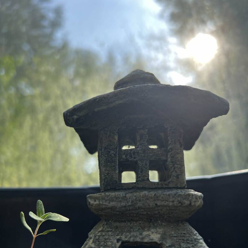 a small stone pagoda backlit by sunlight next to a miniature seedling