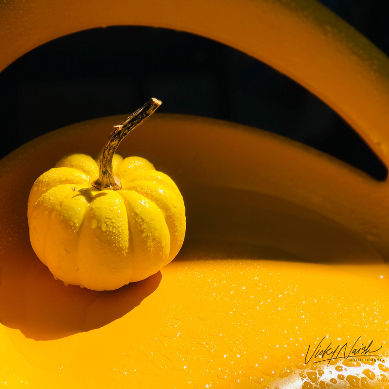 yellow squash sitting on yellow chair with water droplets 